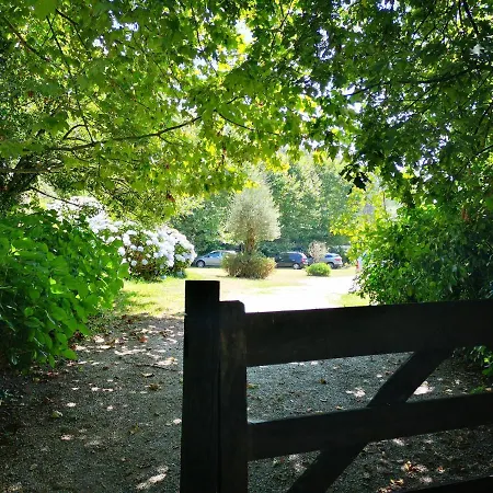 T0 Eira Tras * Vieira do Minho