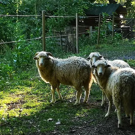 شقة T0 Eira Tras فييرا دو مينهو