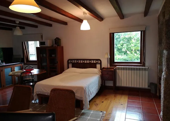 T0 Eira Tras * 비에이라도미노