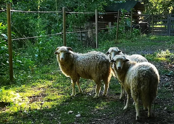 아파트 T0 Eira Tras 비에이라도미노